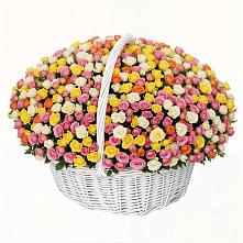 Премиум букет из: Розы в Султан-Янги-Юрте