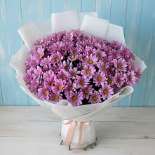 Букет цветов из:  Хризантемы в Султан-Янги-Юрте