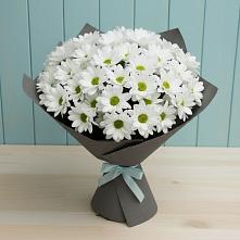 Букет цветов из:  Хризантемы в Султан-Янги-Юрте