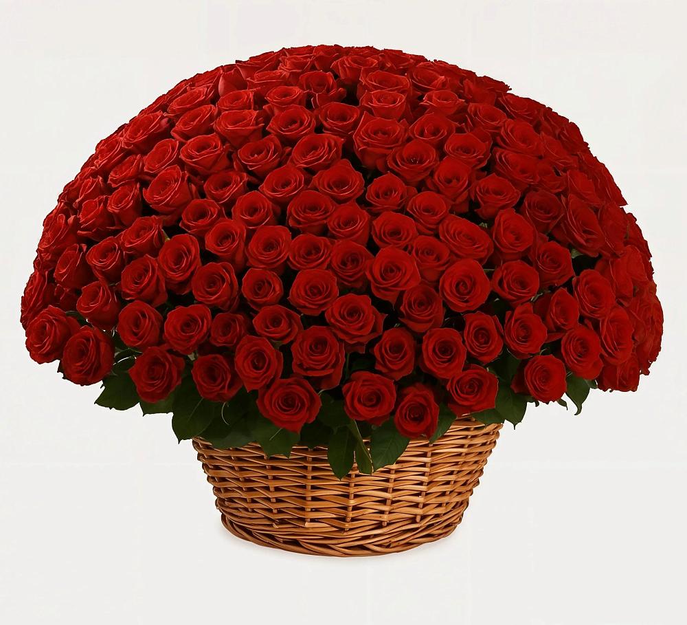 Премиум букет из: Розы в Султан-Янги-Юрте