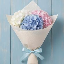 Букет цветов из:  Гортензия в Султан-Янги-Юрте