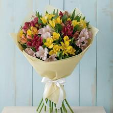 Букет цветов из:  Альстромерии в Султан-Янги-Юрте