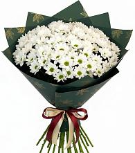 Букет цветов из:  Хризантемы в Султан-Янги-Юрте