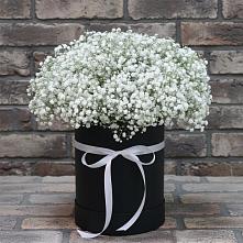 Цветочная композиция из Гипсофила в шляпной коробке в Султан-Янги-Юрте