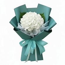 Букет цветов из:  Гортензия в Султан-Янги-Юрте